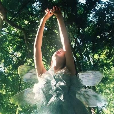 宝葫芦的秘密粤语